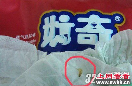 婴儿用品再爆丑闻 尿不湿爬出虫子令父母心惊胆颤