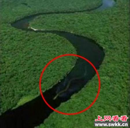 是在亚马逊河里用卫星拍到世界上最大的蛇