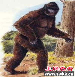 盘点世界各地的“野人”传说