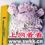 盘点世界各地的“野人”传说