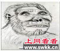 盘点世界各地的“野人”传说