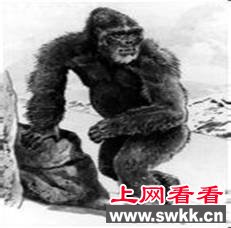 盘点世界各地的“野人”传说