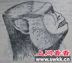 盘点世界各地的“野人”传说