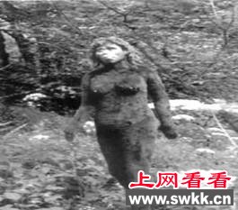 盘点世界各地的“野人”传说