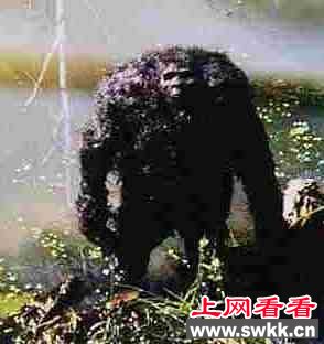 盘点世界各地的“野人”传说