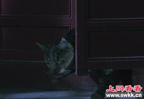 《甄嬛传》经典穿帮镜头遭吐槽 孙俪蒋欣后宫嫔妃玩穿越