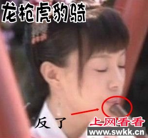 《甄嬛传》穿越评点