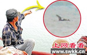 当地居民盛传查尼湖有“水怪”（图中照片为手机所拍）