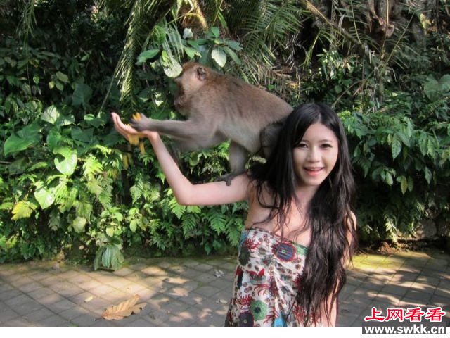 猴抓妹_性感美女游客遭色猴袭击 性感美女游客遭“色猴”袭击 