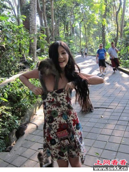 猴抓妹_性感美女游客遭色猴袭击 性感美女游客遭“色猴”袭击 