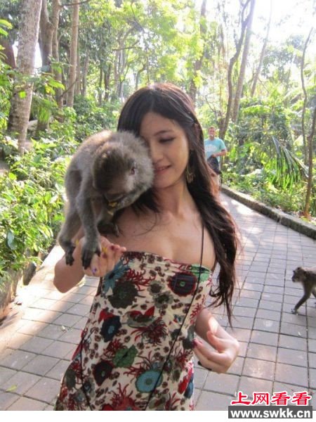 猴抓妹_性感美女游客遭色猴袭击 性感美女游客遭“色猴”袭击 