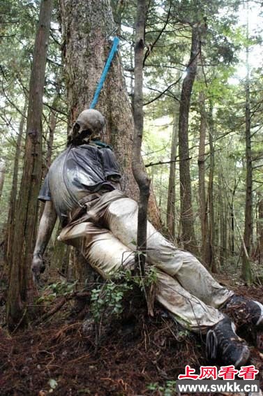 日本自杀森林阴森恐怖