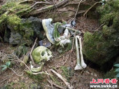 自杀者的尸骨漫山遍野偶尔就能发现一具