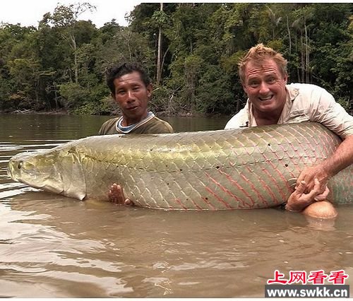 英国男子钓上一条巨型巨滑舌鱼重226斤（组图）