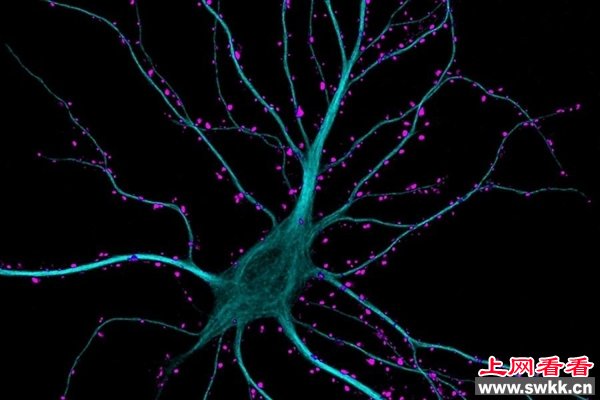 惊叹！2013年最受喜爱的科学照片