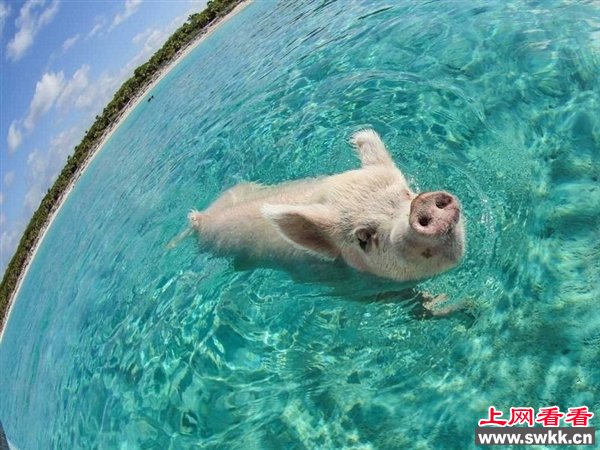 惊叹！2013年最受喜爱的科学照片