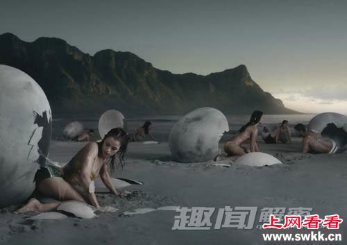 3、生命从何而来？
