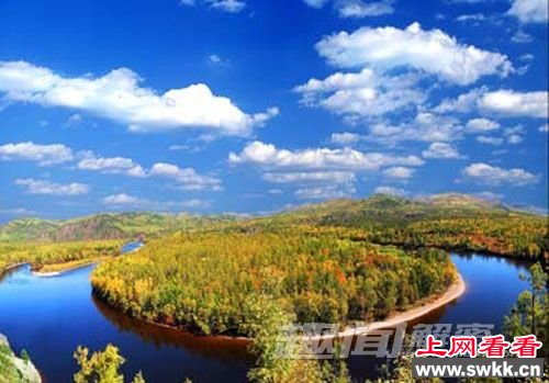 、森林如何影响全球变暖？