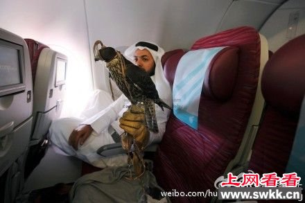 中东土豪