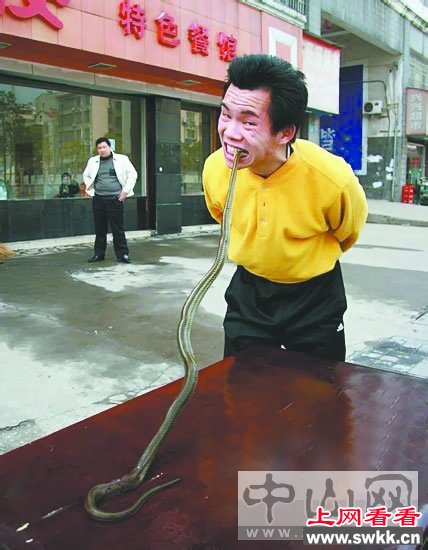 生吃活蛇