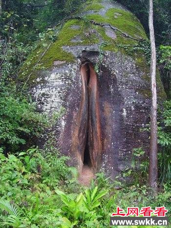 世界上最大的阴道