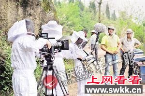 3个法国摄影师穿着防蜂服进行全程跟拍