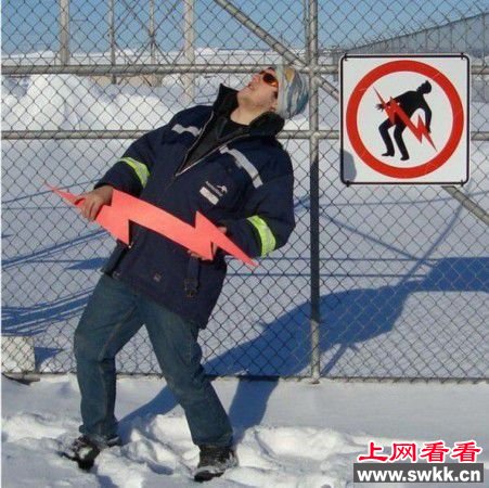 名模与猪游泳 牛人恶搞不知天高地厚（组图）