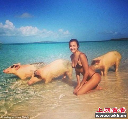 名模与猪游泳 牛人恶搞不知天高地厚（组图）