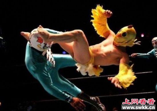 名模与猪游泳 牛人恶搞不知天高地厚（组图）