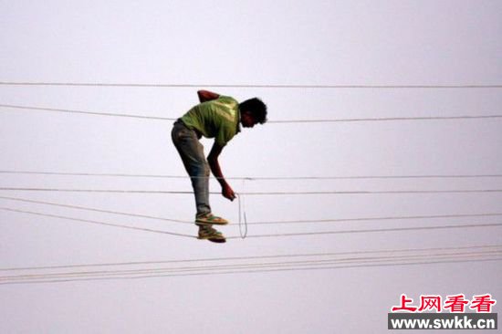 名模与猪游泳 牛人恶搞不知天高地厚（组图）