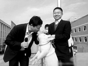 洪耀明亲吻小猪