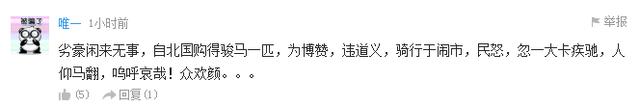 温州价值18万骏马闹市被撞死 肇事车逃逸(图)