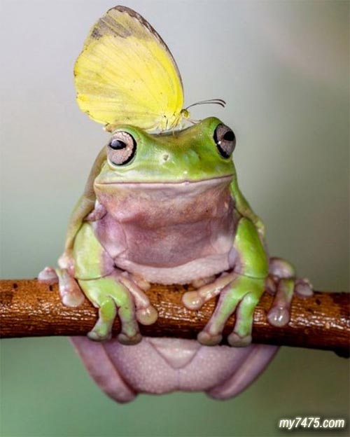ƼһȤЦͼƬ