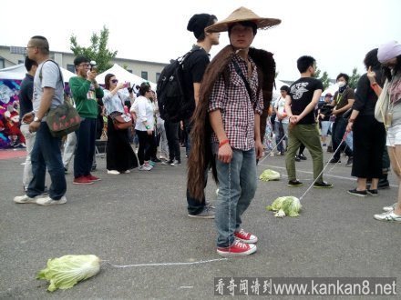 遛白菜 牵着白菜遛 组图