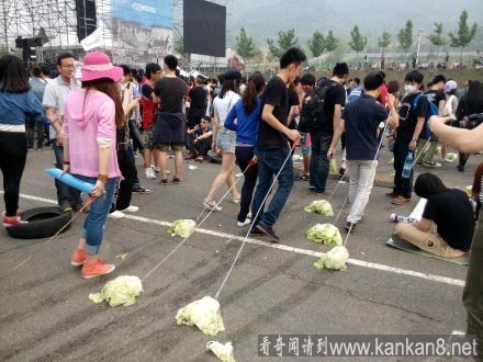 遛白菜 牵着白菜遛 组图