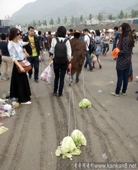 遛白菜 有个性 图