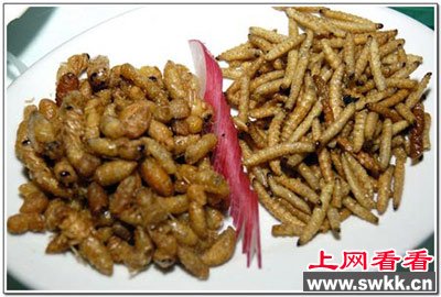 曝“全球最骇人10大菜” 胎盘餐生食猴脑你敢尝试吗？(组图)