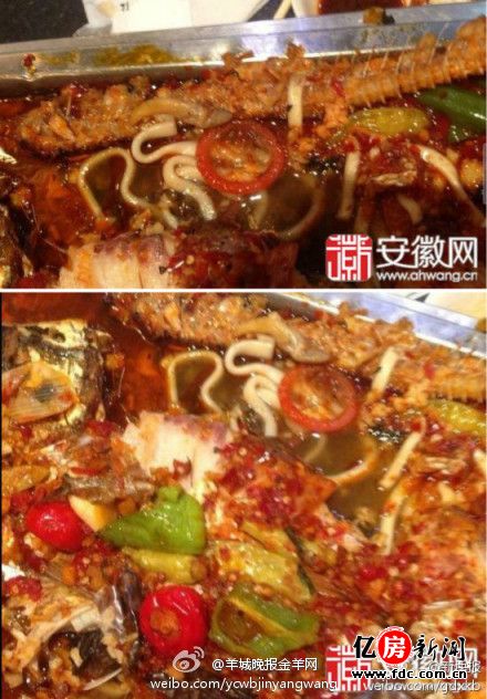 烤鱼盘里发现安全套 女经理当场吞下 图