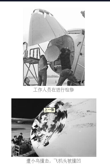 海航飞机被鸟撞凹 图