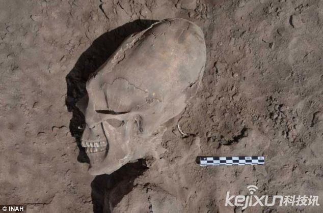 墨西哥惊现“外星人头骨” ：颅骨变形而细长