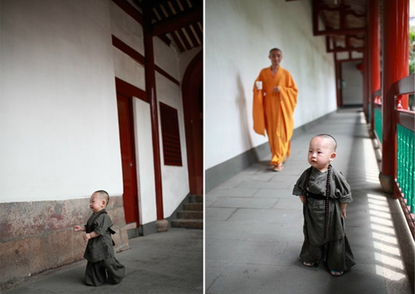 西禅寺小和尚 小和尚超萌写真 图