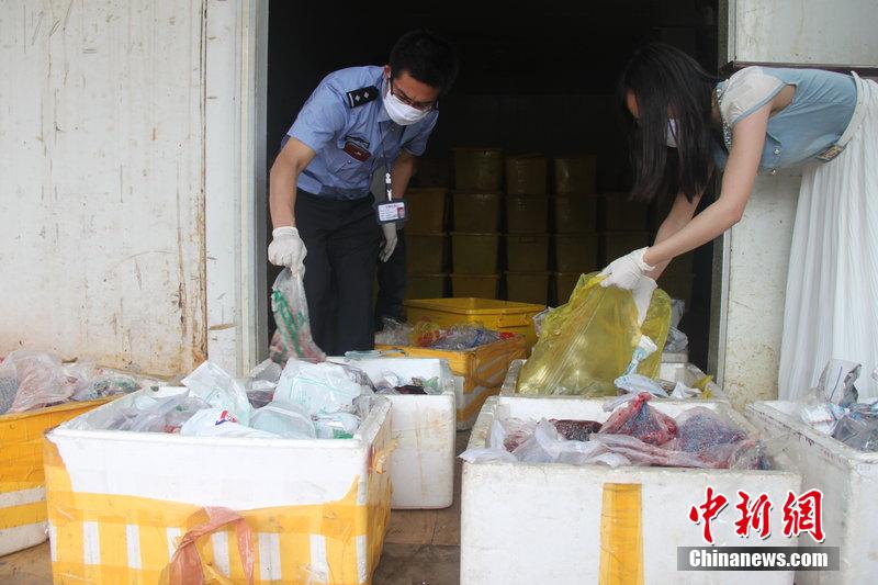 200多只非法运输人体胎盘江西截获 图