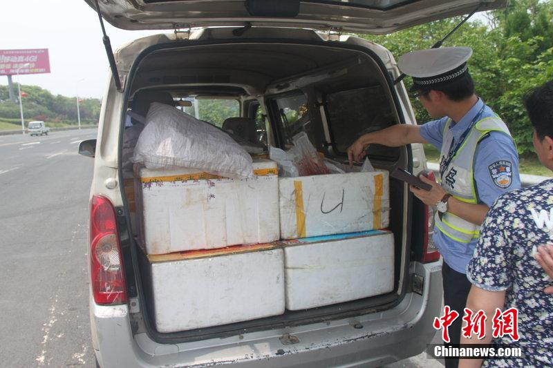 200多只非法运输人体胎盘江西截获 图