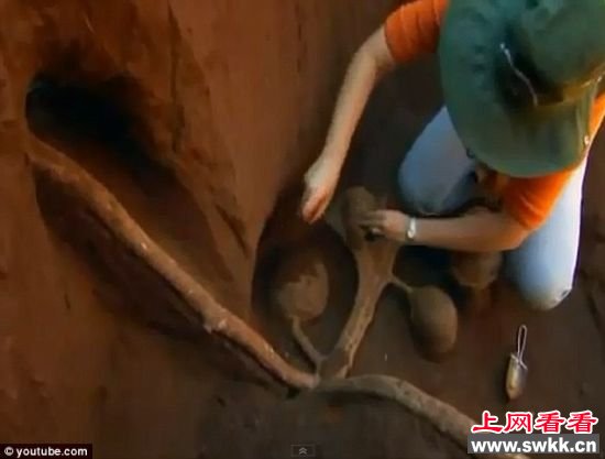 浇铸混凝土后显现出的地道,复杂程度令人吃惊 浇铸混凝土后显现出的地道,复杂程度令人吃惊