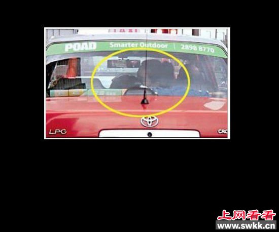 陈百霖与嫩模Mandy Lieu 陈百霖与嫩模Mandy Lieu