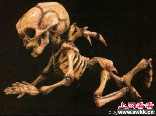 点击图片进入下一页