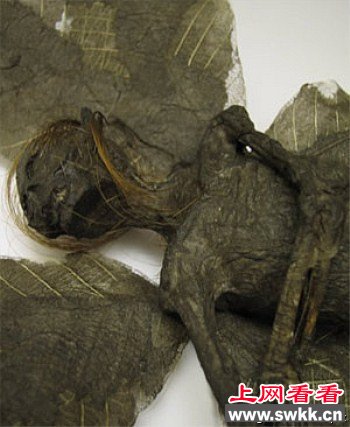 点击图片进入下一页