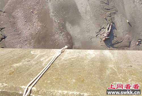 相约自杀兄弟中的哥哥掉落河床，重伤。《中时电子报》
