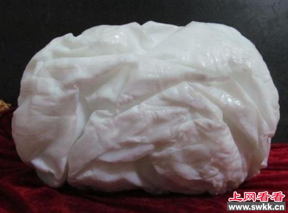新疆伊犁霍城县再次发现大量白色太岁
