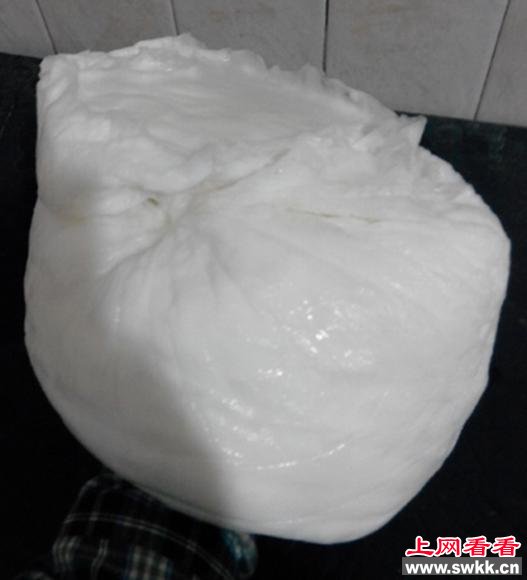 新疆发现大量白色太岁 图